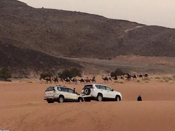 Camel Trek And Cars