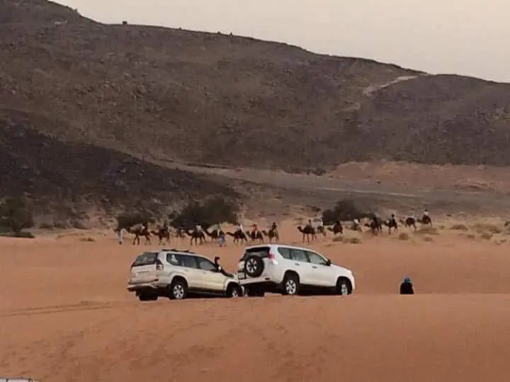 Camel trek and cars | Come To The Sahara