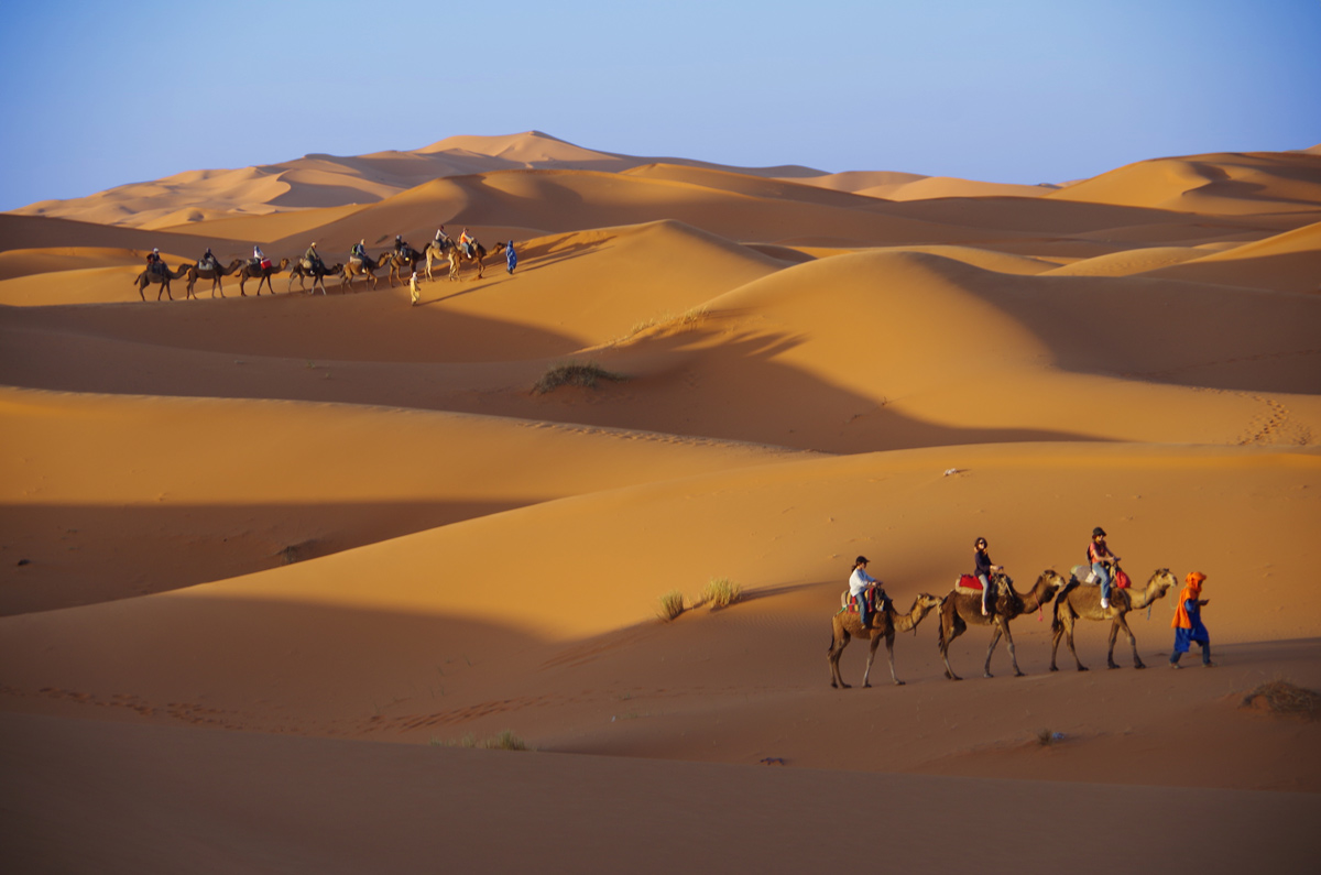 Two groups of camel riders travel over golden dunes below a blue sky