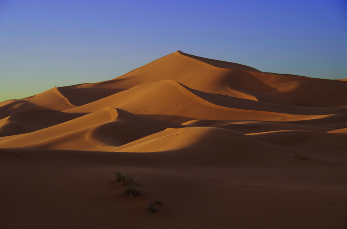 Desert dunes below a blue sky