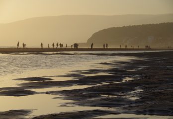 Beachcombers on a foggy beach silhouetted in by the sunset