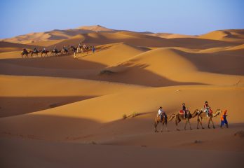 Two groups of camel riders travel over golden dunes below a blue sky